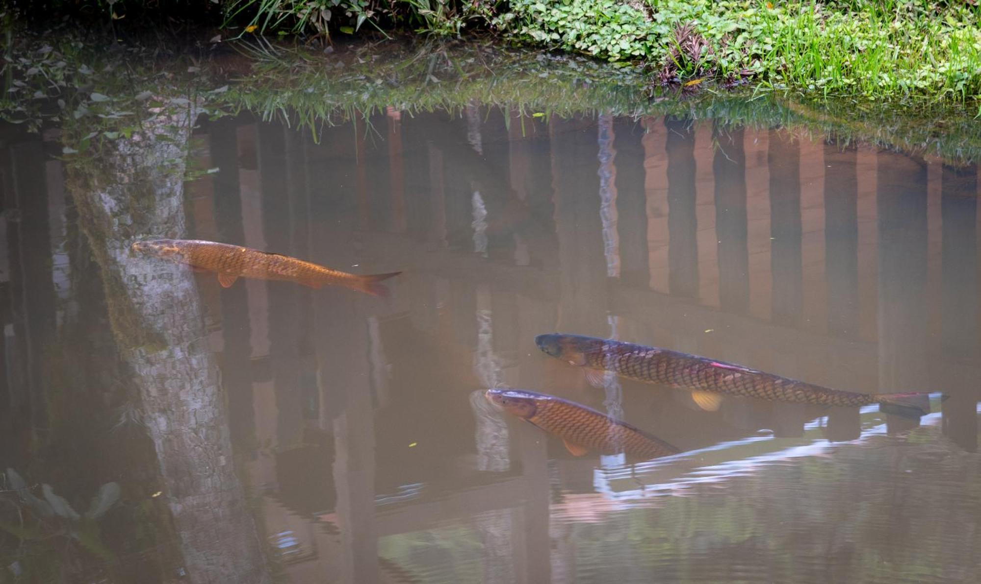 Pousada Caminhos Da Natureza อูรูบิซิ ภายนอก รูปภาพ